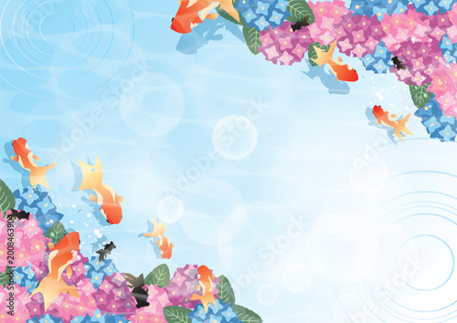 夏の梅雨　紫陽花背景