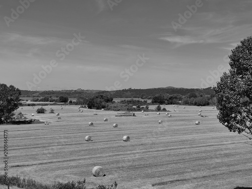 Tableau sur toile Monterotondo, Rome, Italy - April 4, 2026, view of a plain near the Tiber River, with hay bales, also called round bales, after a harvest, near residential areas