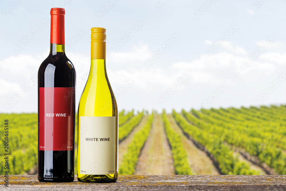 Obraz premium Red and white wine bottles with grapes