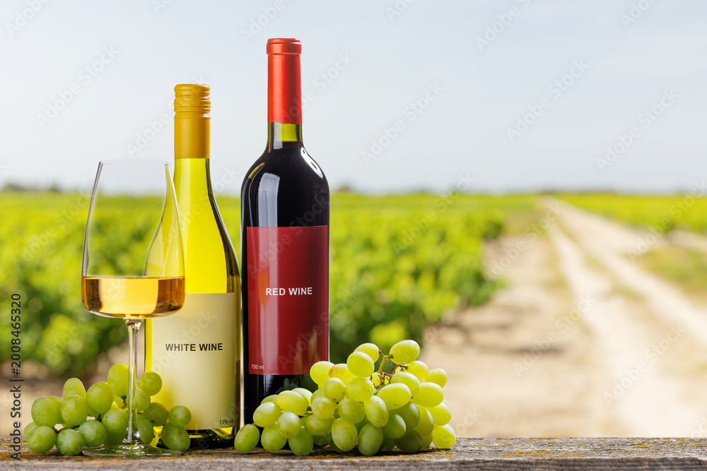 Naklejka premium Red and white wine bottles with grapes