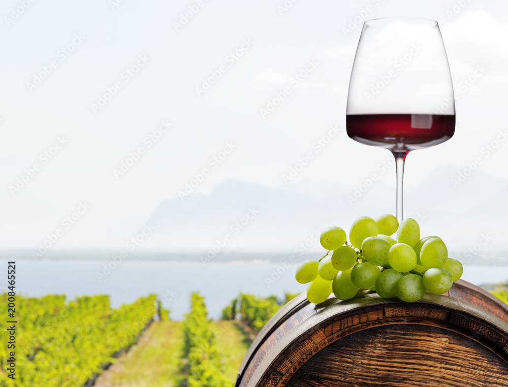Obraz premium Red wine glass with grapes vineyard background