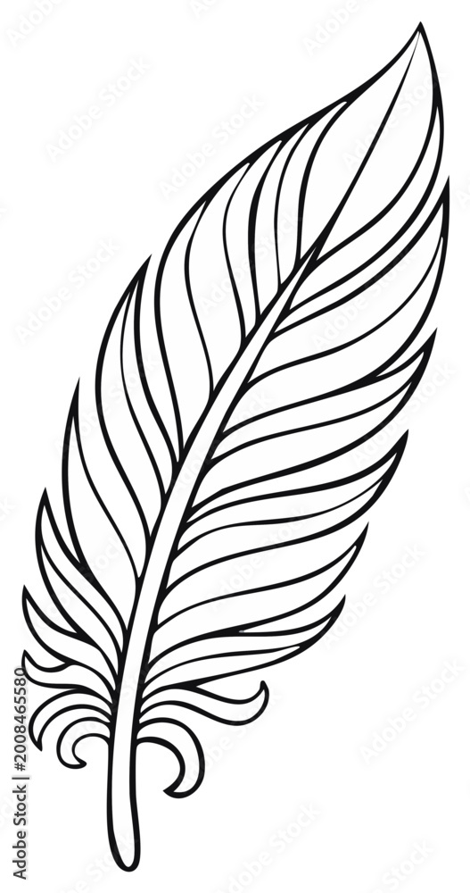 Obraz premium Detailed Feather Outline for Coloring Page or Design Element