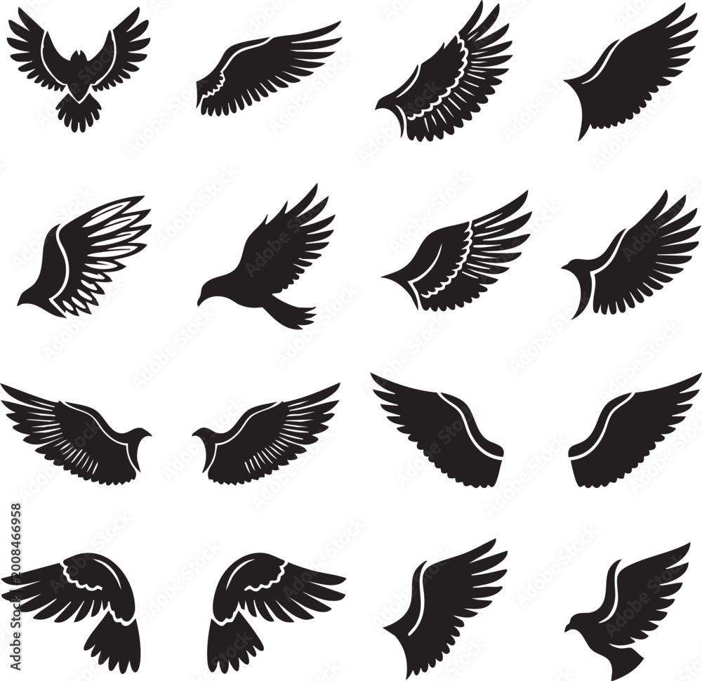 Obraz premium Collection of stylized bird wings in various forms with silhouette feathers isolated ornithology illustration collection