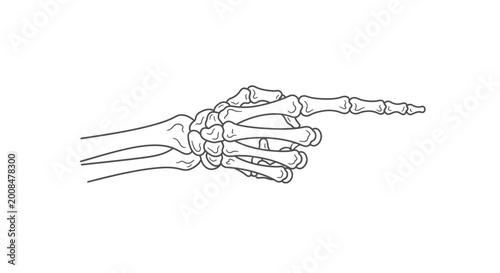 Skeleton hand pointing illustration vector isolated on white background