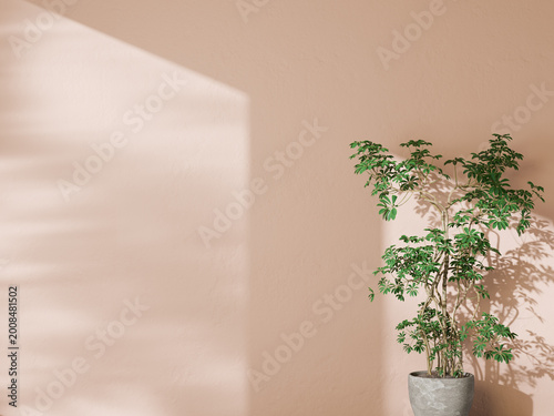 Peach wall background with a green potted plant and soft window shadows for video calls.