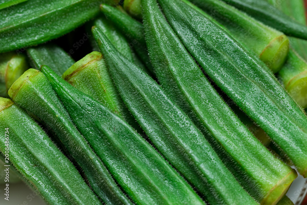 Fototapeta premium Blanched okra, fresh green vegetable with tender texture after boiling, natural appearance and vibrant color