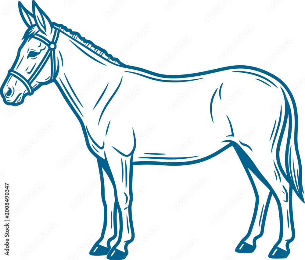 Obraz premium Standing donkey figure in clean blue line art vector can Editable