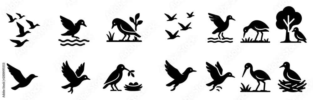 Obraz premium Bird icons with flock wading duck silhouette