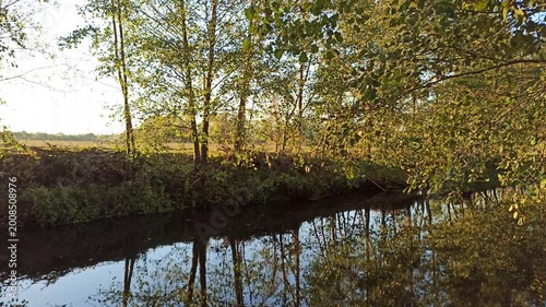 Serene Autumn River Reflection Surrounded by Golden Trees in Sunny Forest captures a peaceful moment. The calm water mirrors the vibrant foliage and bright sky perfectly. Nature looks very beautiful.