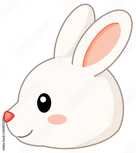 rabbit
