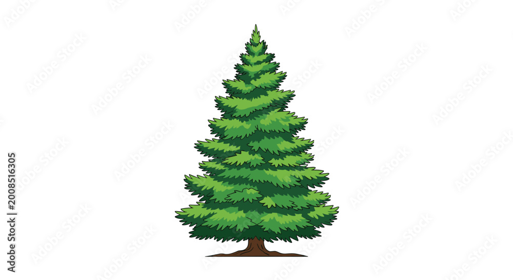 Obraz premium Vibrant green evergreen spruce tree illustration isolated on a plain white background for nature and forest designs.