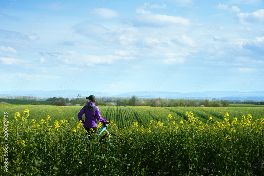Fototapeta premium Cyclist purple jacket riding through yellow rape field. Bike in sunny meadow. Peaceful scene depicting cyclist surrounded by vibrant flower field under bright blue sky