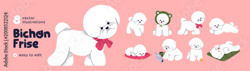 Cute fluffy puppy, toy dog of Bichon Frise breed. Set of baby canine animals,...