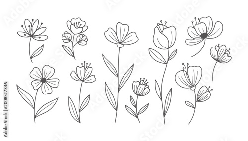 Collection of simple line flowers with delicate petals and stems floral botanical