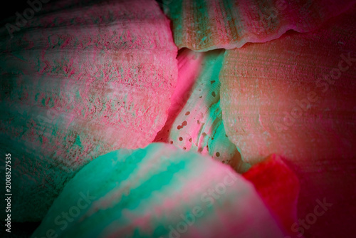 Tableau sur toile Dramatic Colorful Macro Photography of Oyster Shell Interior Text