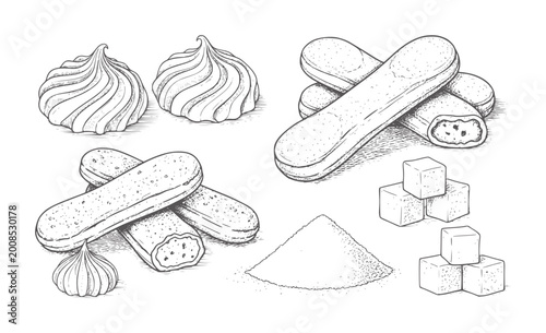 Hand drawn meringues ladyfingers sugar cubes and sugar pile