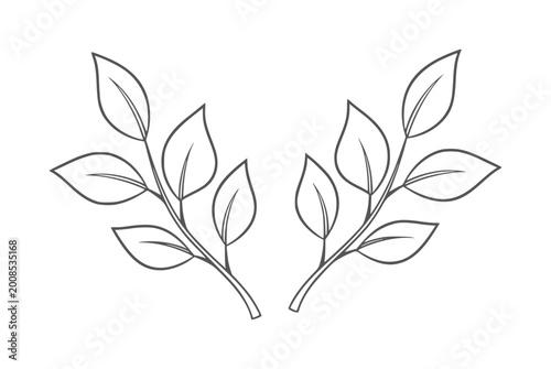 фотографія Two symmetrical dark grey outlines of leafy branches white