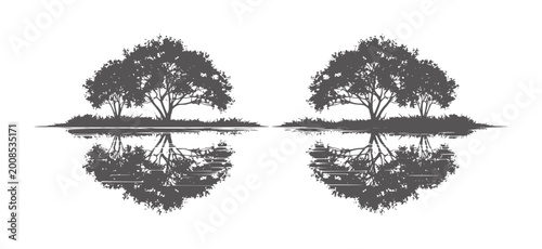 Schilderij op canvas Two symmetrical dark gray trees reflected in water white reflection nature symme