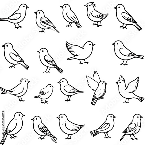 Various Bird Species in Flight Postures.