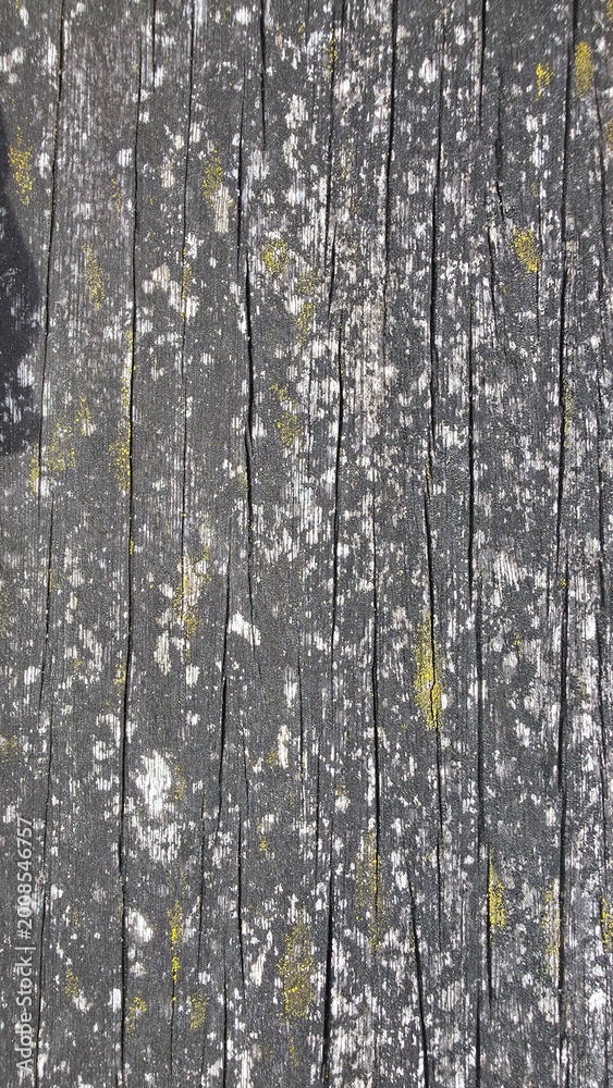 Obraz premium background and texture of old wood