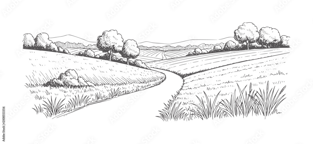 Obraz premium Hand drawn of rolling fields and trees with a winding path landscape hills