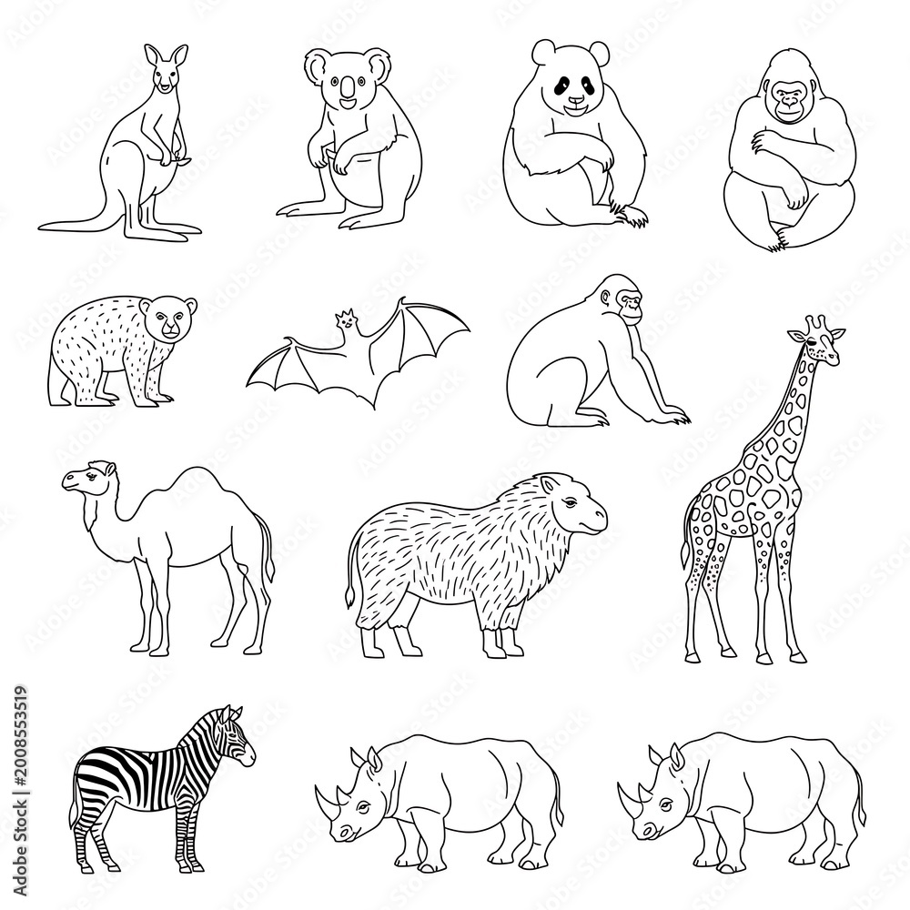 Fototapeta premium Variety of animal line drawings.
