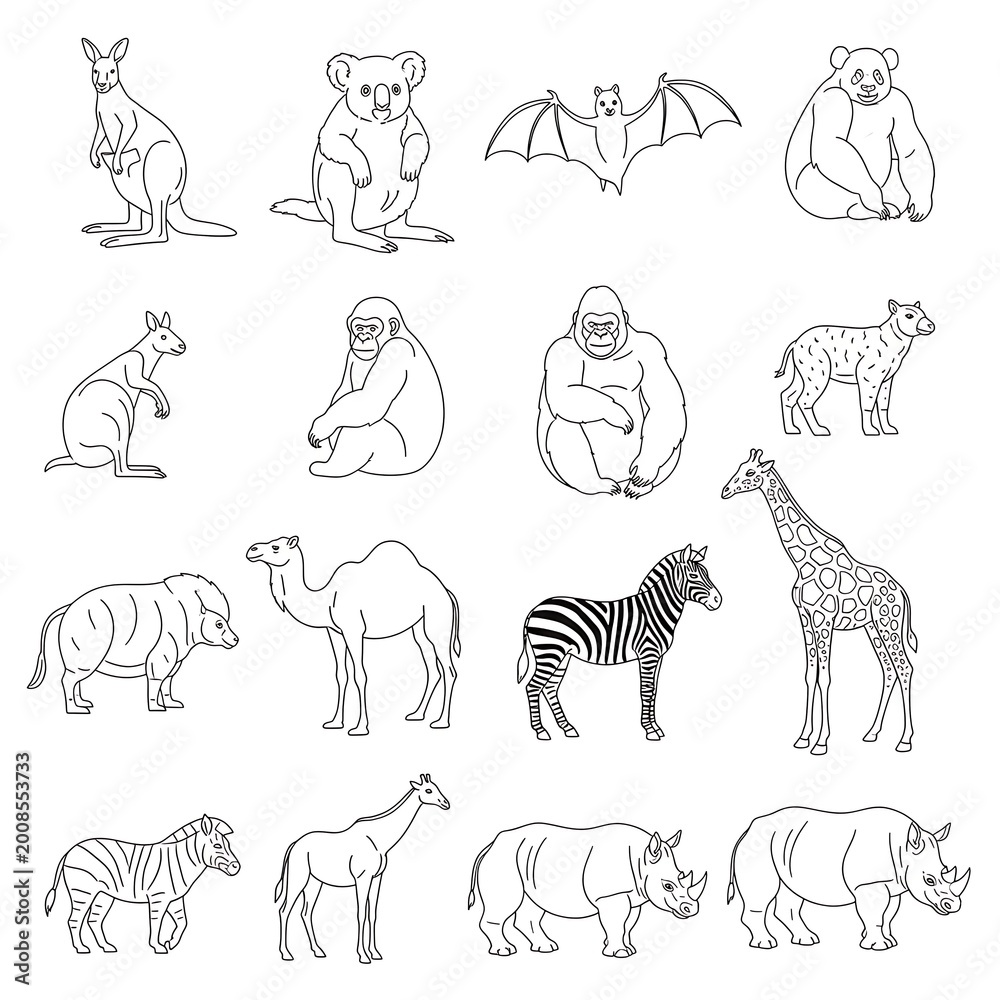 Fototapeta premium Variety of Wild Animal Species.