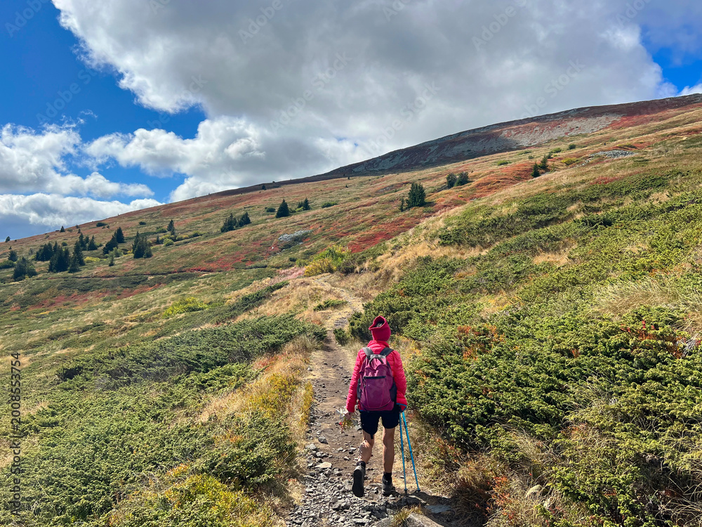 Fototapeta premium Active Mature woman walking or hiking outdoors