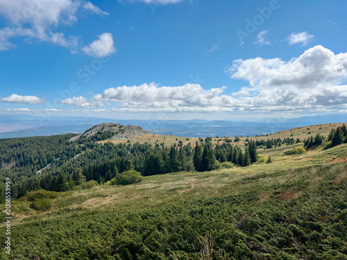 Beautiful mountain summer landscape with pine trees and green meadows . Vitosha Mountain 