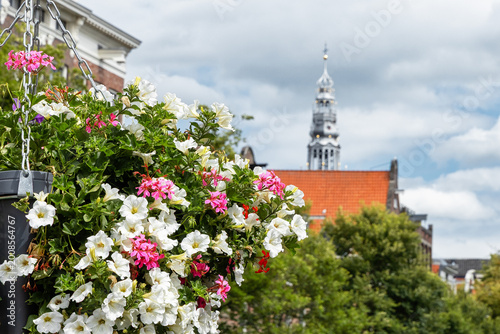 Hanging basket of colorful flowers with historic tower in background, capturing charming urban garden scene under cloudy sky in city