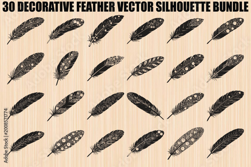 Decorative Feather, Vector Silhouettes, Black and White Feathers, 30 Piece Bundle