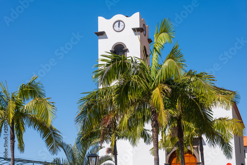 Photos White clock tower and palm trees in Madeira, Portugal under sun