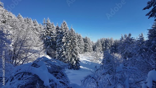 Amazing Winter landscape of Vitosha Mountain, Sofia City Region, Bulgaria