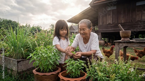 Elderly Southeast Asian grandmother teaching young granddaughter to pick herbs in a lush garden beside a traditional wooden house with free-range chickens