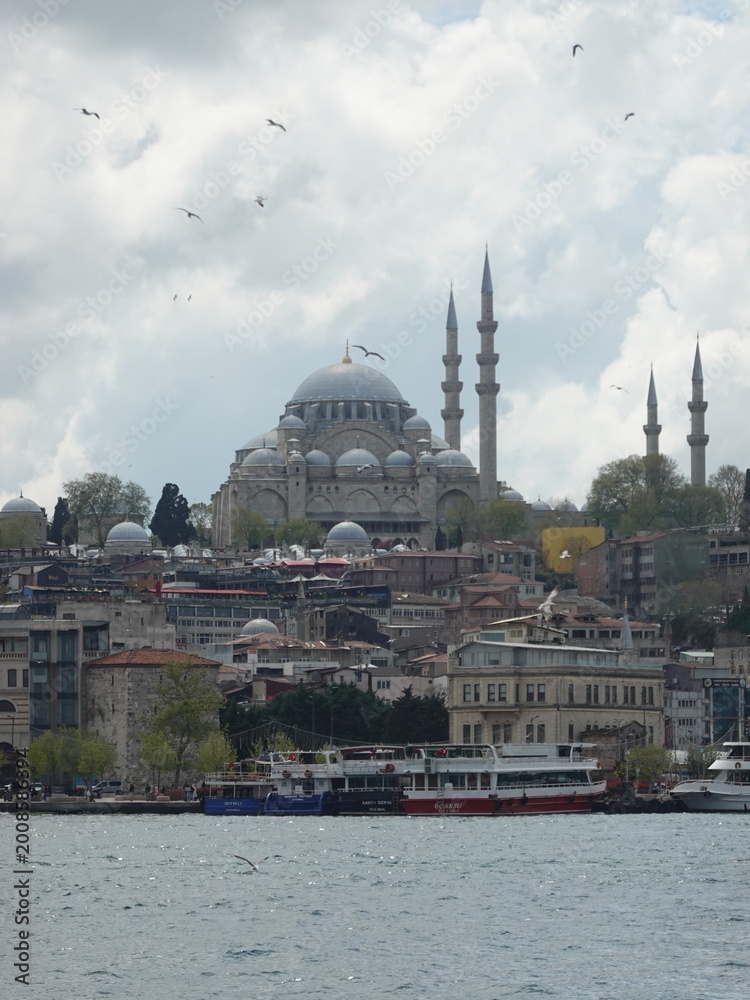 Naklejka premium Suleymaniye mosque istanbul