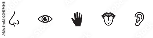Quadro su tela Five Human Senses Icon Set