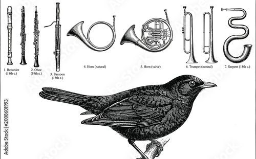 Foto Vintage Woodcut Illustration of Classical Wind Instruments and Perching Songbird