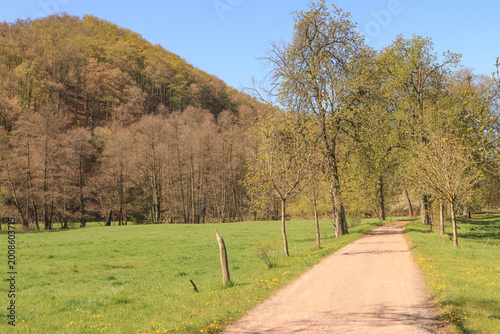 Frühling im Selketal; Rad-und Wanderweg bei Meisdorf