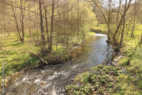 Frühling im Selketal (Unterharz)