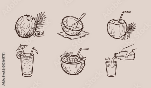 simple rough sketch Coconut drink illustrations for summer beverages