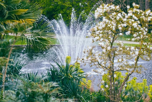 Fountain sprays water in pond surrounded by greenery and flowers on a sunny day in a public park