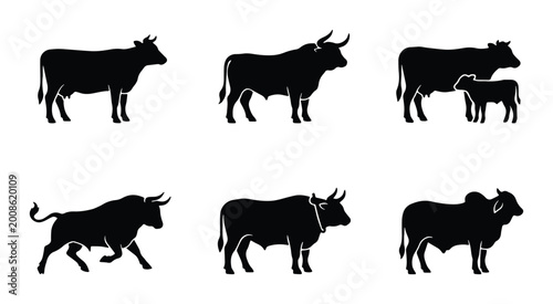 Foto set of six black and white vector silhouettes depicting various types of cows in