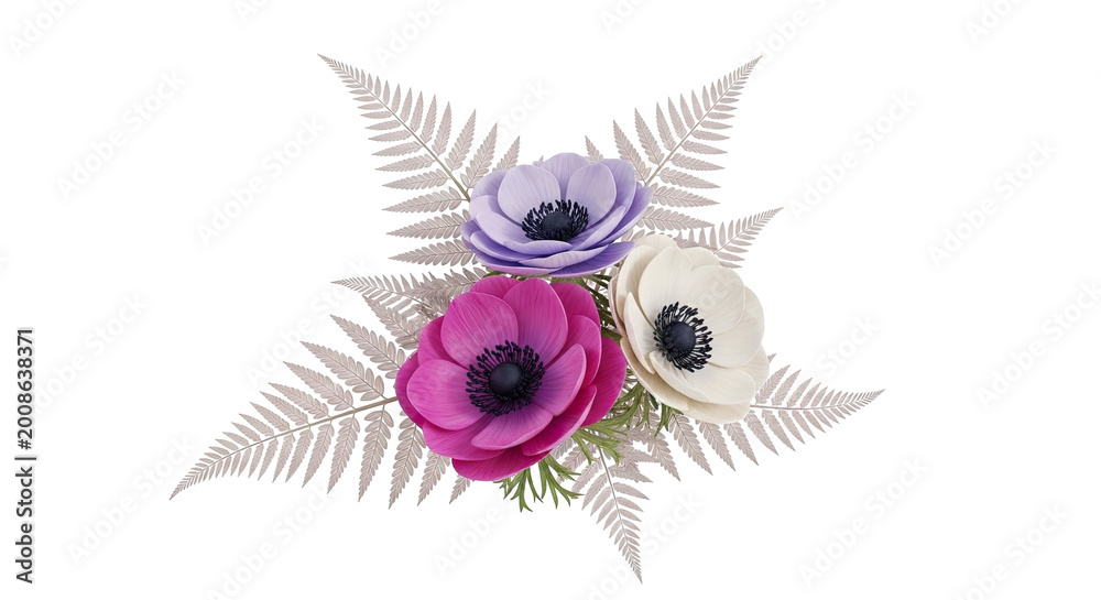 Obraz premium Three Anemone Flowers with Ferns