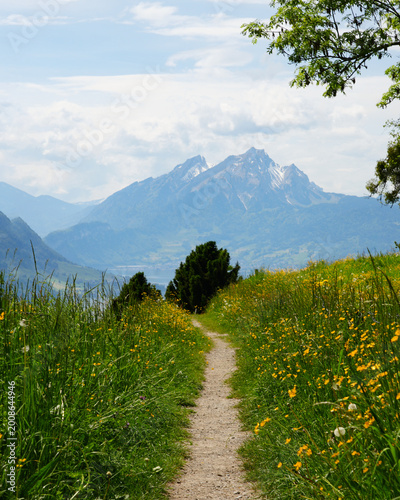 Scenic hiking route from Rigi Kaltbad to Weggis featuring a dirt path surrounded by wildflowers and mountains under a partly cloudy sky in Switzerland