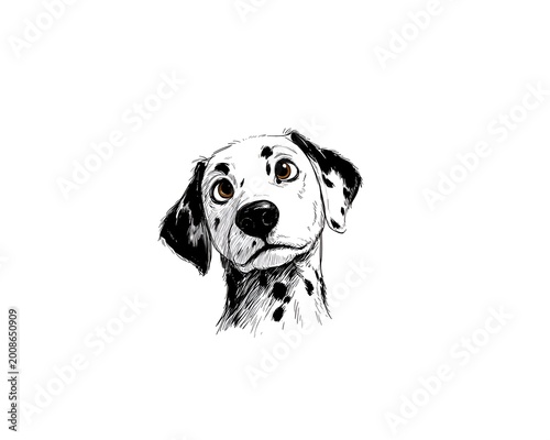 A cute dalmatian puppy head with unique black spots is creatively sketched with artistic shading on a clean white digital background.