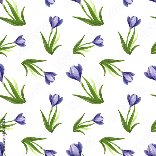 Purple crocuses with green leaves, seamless watercolor floral pattern. Fresh blue mountain flowers, hand drawn. Vibrant bouquet of plants for packaging, cosmetic fabric, and cards.
