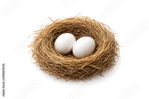Two white birds eggs lying inside a brown straw nest isolated on white background