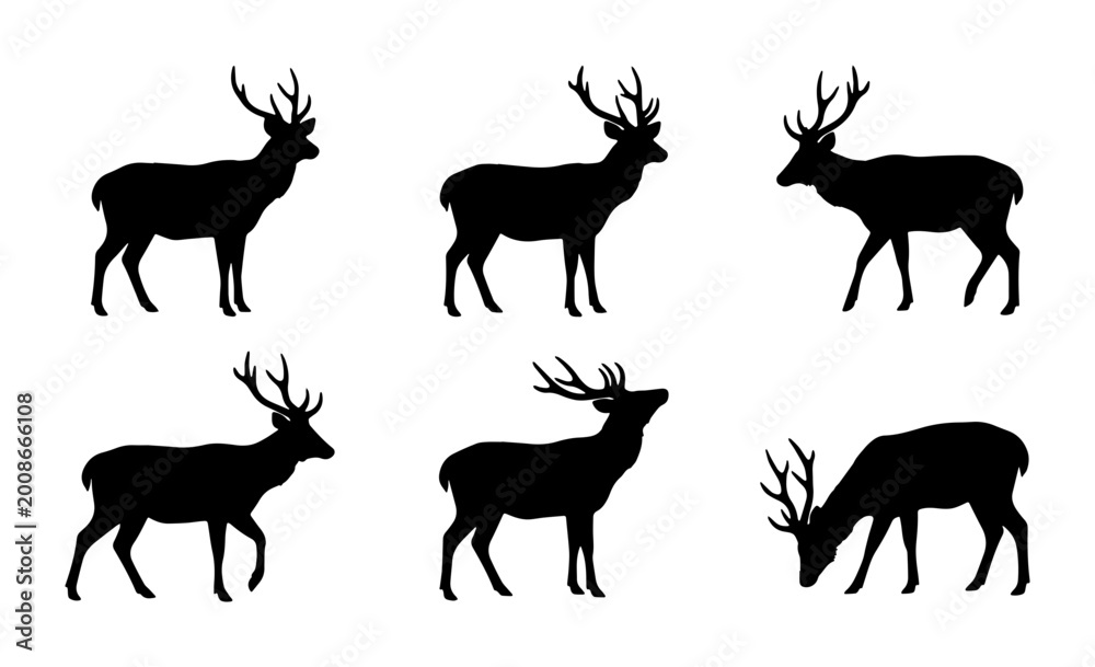 Fototapeta premium vector deer set on white background