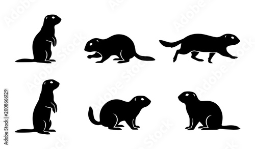 Fotografie Groundhogs in various poses as black and white vector icons on a transparent bac