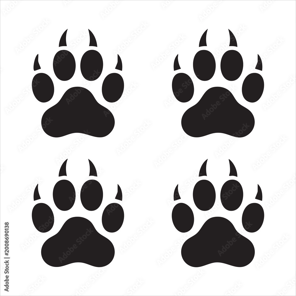 Fototapeta premium Collection of grizzly bear paw footprints with sharp claws isolated on white background vector set